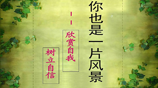 view.jpg